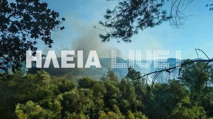 Συναγερμός στην Πυροσβεστική: Φωτιά στην περιοχή Διάσελλα Ηλείας